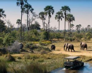 Tanzania safari itinerary
