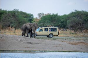 Ngorongoro Crater Safari