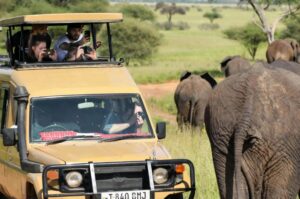 exclusive Tanzania safari package holiday