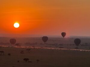 Tanzania Safari