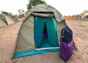 exclusive Tanzania safari