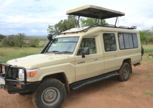 guided Tanzania safari