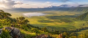Tanzania safari tour