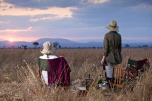 Ruaha Safari