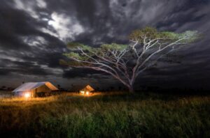 Group Tanzania Safari