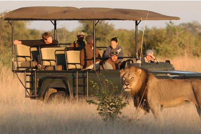 Nyerere National Park Safari Southern Circuit Tours: Complete Guide