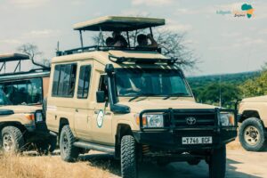 Ngorongoro Crater safari