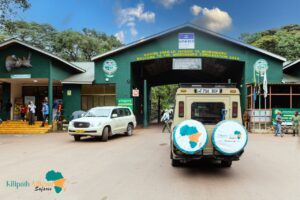 Ngorongoro Crater safari